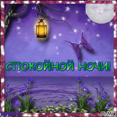 Открытка «Красивая»: Спокойной ночи: Нежная открытка с луной и бабочкой. Тэги: фонарь, нежная, природа, бабочка, свет…