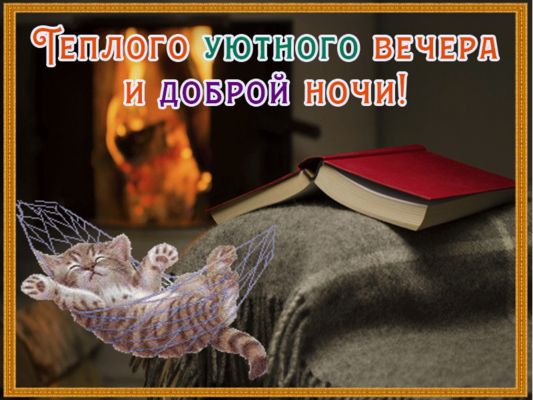 Открытка «Доброй ночи»: Уютного вечера и доброй ночи с милым котом. Тэги: Добрый вечер и пожелания, Доброго вечера и…