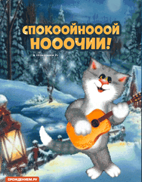 Открытка «Кот»: Спокойной ночи! Милый кот с гитарой. Тэги: животное, гитара, пожелание, улыбка, красивая, фонарь…