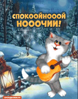 Открытка «Кот»: Спокойной ночи! Милый кот с гитарой. Тэги: животное, гитара, пожелание, улыбка, красивая, фонарь…