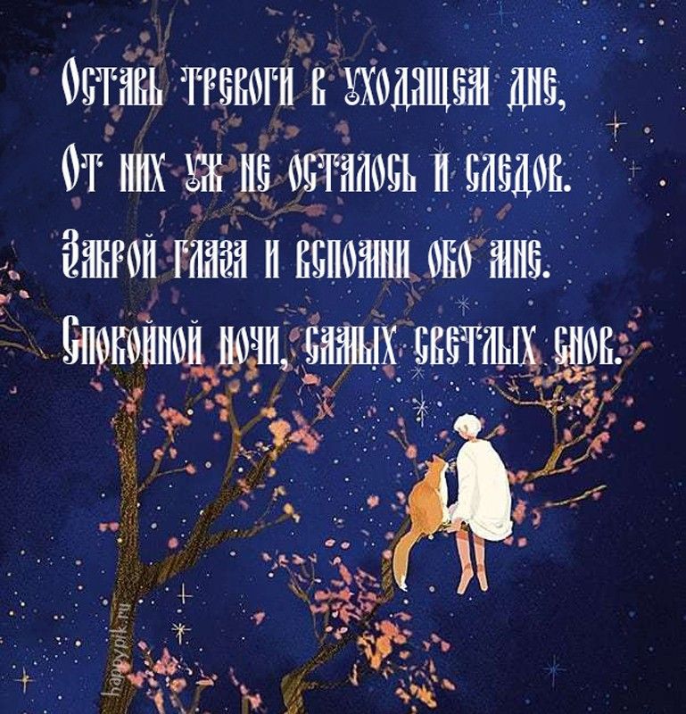 Открытка «Кот»: Спокойной ночи и сладких снов. Тэги: животное, пожелание, красивая, настроение, нежная, дерево…