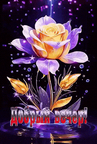 Открытка «Красивая»: Добрый вечер — красивая мерцающая открытка с розой. Тэги: позитив, цветок, настроение, нежная…