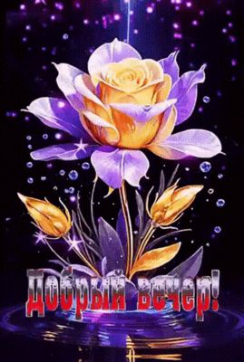 Открытка «Красивая»: Добрый вечер — красивая мерцающая открытка с розой. Тэги: позитив, цветок, настроение, нежная…