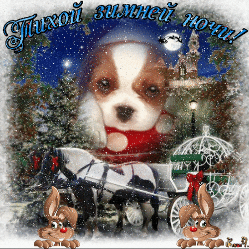 Открытка «Животное»: Тихой зимней ночи! Милый щенок и снежный пейзаж. Тэги: красивая, зима, милая, собака, снег, лес…