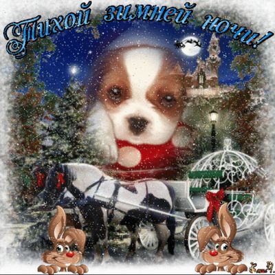 Открытка «Животное»: Тихой зимней ночи! Милый щенок и снежный пейзаж. Тэги: красивая, зима, милая, собака, снег, лес…