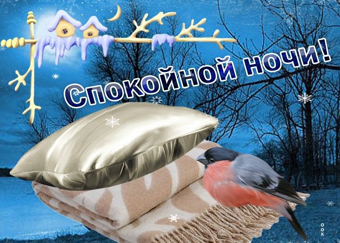 Открытка «Животное»: Спокойной ночи! Зимняя сонная открытка. Тэги: пожелание, красивая, птица, зима, подушка, природа…