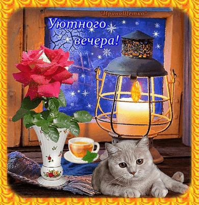 Открытка «Кот»: Уютного вечера и приятного настроения!. Тэги: животное, цветок, чай, окно, чашка, настроение, зима…