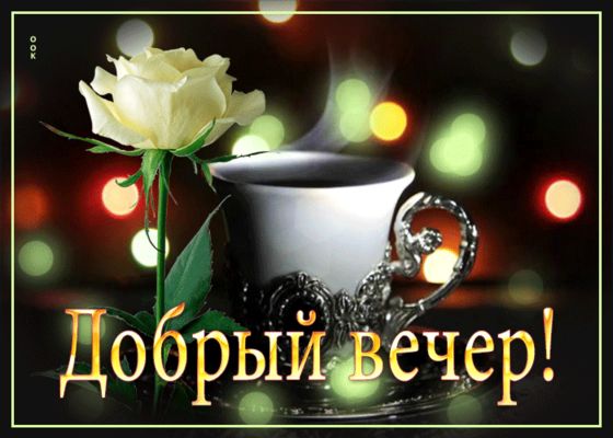Открытка «Красивая»: Добрый вечер и нежная роза. Тэги: кофе, цветок, чашка, настроение, нежная, роза, пар, добрый веч…