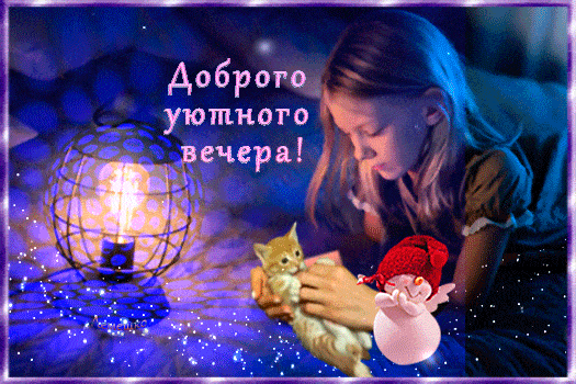 Открытка «Кот»: Добрый, уютный вечер - красивая открытка. Тэги: пожелание, красивая, позитив, радость, настроение…