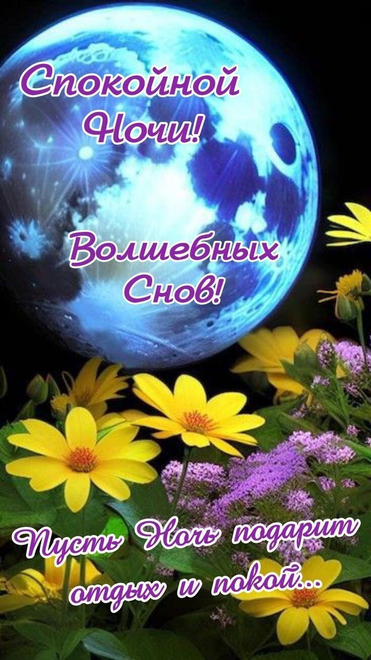 Открытка «Пожелание»: Спокойной ночи и сладких снов. Тэги: красивая, позитив, цветок, нежная, природа, отдых, покой…