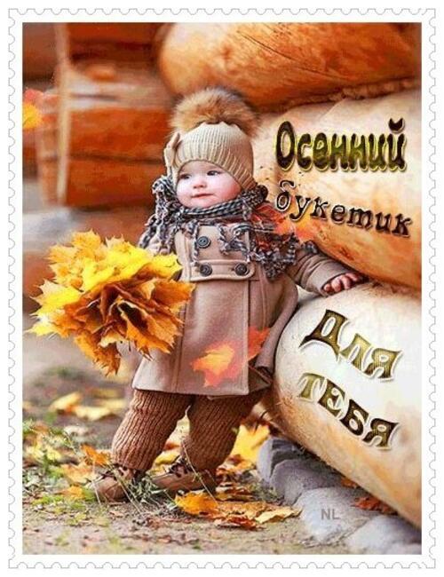 Открытка «Животное»: Осенний букетик для тебя! Милая открытка. Тэги: красивая, позитив, добрый день, осень, настроение…