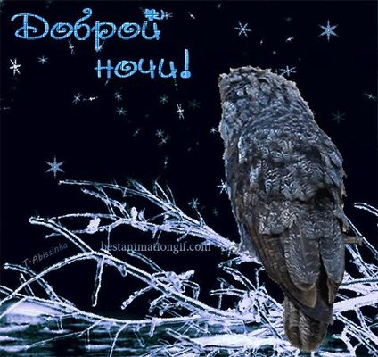Открытка «Животное»: Доброй ночи! Сова на ветке, мерцающая ночь. Тэги: красивая, нежная, зима, снег, ветка, сова…