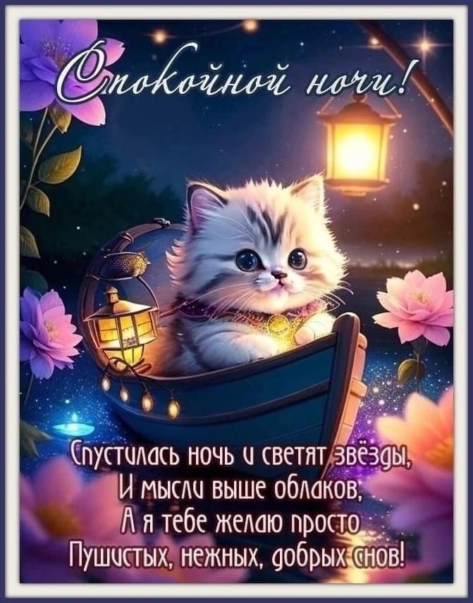 Открытка «Животное»: Спокойной ночи: милый котик в лодке с фонариком. Тэги: пожелание, друг, подруга, красивая, цветок…