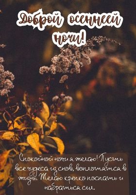 Открытка «Пожелание»: Добрая осенняя ночь – пожелание сладких снов. Тэги: осень, трава, природа, желтый, пейзаж, ночь…