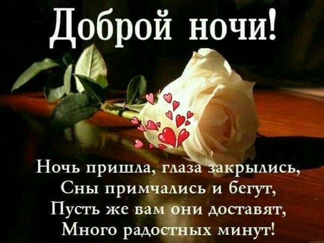 Открытка «Пожелание»: Открытка Доброй ночи с белой розой и стихом. Тэги: красивая, сердце, цветок, стих, нежная, роза…