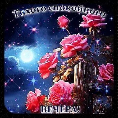 Открытка «Красивая»: Тихого спокойного вечера! Красивая открытка с розами. Тэги: цветок, настроение, нежная, природа…