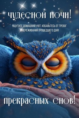 Открытка «Животное»: Спокойной ночи: уютная открытка с совой!. Тэги: пожелание, красивая, нежная, пушистый, милая…