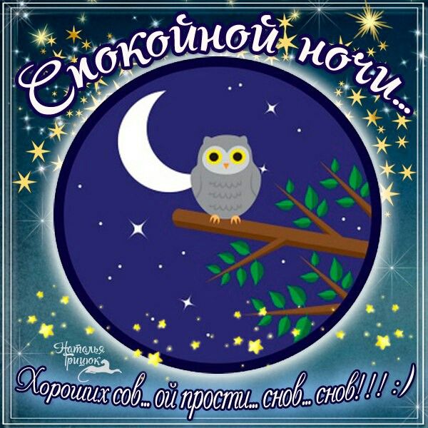 Открытка «Животное»: Спокойной ночи: милая сова и сладких снов. Тэги: пожелание, красивая, позитив, радость, дерево…