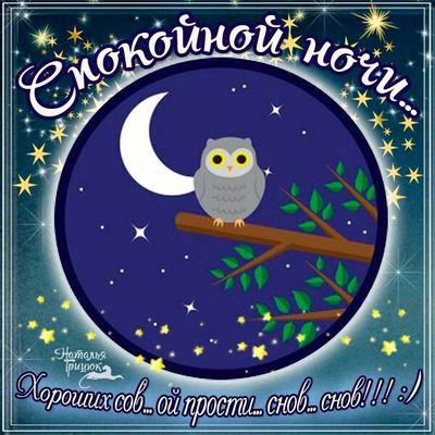 Открытка «Животное»: Спокойной ночи: милая сова и сладких снов. Тэги: пожелание, красивая, позитив, радость, дерево…