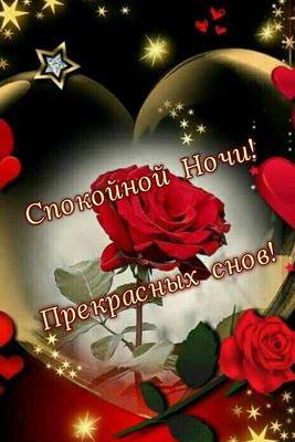 Открытка «Пожелание»: Спокойной ночи! Прекрасных снов! с розой. Тэги: красивая, сердце, цветок, настроение, нежная…
