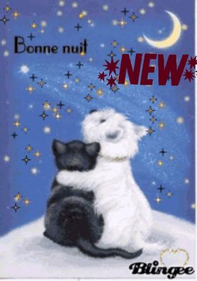 Открытка «Кот»: Доброй ночи: милые кот и собака обнимаются под звёздами. Тэги: животное, пожелание, утро, красивая…