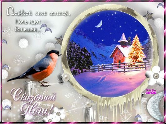 Открытка «Животное»: Сказочной ночи: зимний пейзаж и снегирь. Тэги: красивая, птица, зима, дерево, природа, оригиналь…