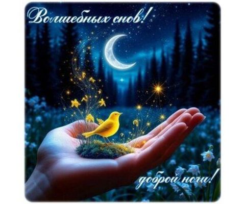 Открытка «Пожелание»: Волшебных снов и доброй ночи!. Тэги: красивая, позитив, птица, нежная, лес, сон, рука, ночь…