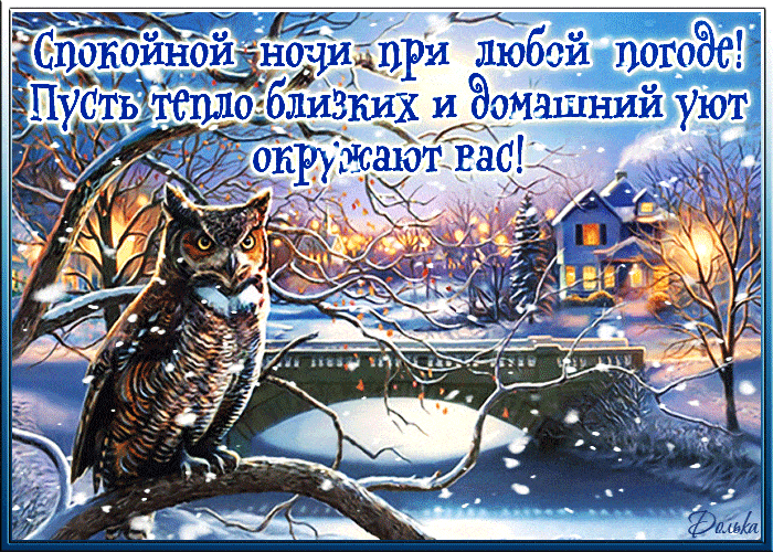 Открытка «Животное»: Спокойной ночи: сова и уют зимой. Тэги: пожелание, красивая, уют, настроение, зима, дерево…