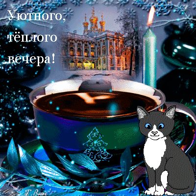 Открытка «Кот»: Уютного, тёплого вечера! Зимнее настроение. Тэги: красивая, кофе, чай, чашка, настроение, зима…