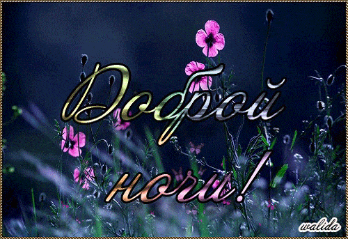 Открытка «Пожелание»: Добрый ночи! Нежная открытка с цветами. Тэги: красивая, цветок, нежная, природа, бабочка, поле…