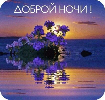 Открытка «Красивая»: Добрый ночи! Красивая открытка с цветком и закатом. Тэги: цветок, настроение, нежная, природа…