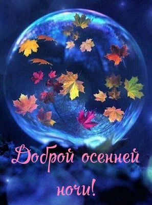 Открытка «Красивая»: Добрый осенний вечер: Красивая открытка с листьями. Тэги: осень, настроение, нежная, природа…
