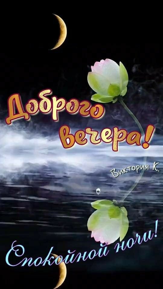Открытка «Красивая»: Доброго вечера и спокойной ночи с нежными цветами. Тэги: цветок, настроение, нежная, природа…