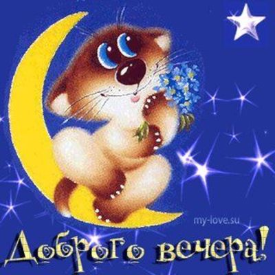 Открытка «Кот»: Доброе вечер! Милая открытка с котиком на луне. Тэги: животное, красивая, позитив, настроение, милая…