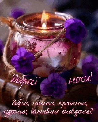 Открытка «Пожелание»: Доброй ночи: нежная открытка с пожеланием снов. Тэги: красивая, цветок, нежная, банка, фиолетов…