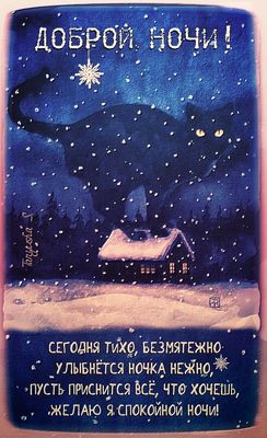 Открытка «Кот»: Добрый ночи! Нежной ночи с милым котом. Тэги: животное, пожелание, красивая, стих, зима, природа…