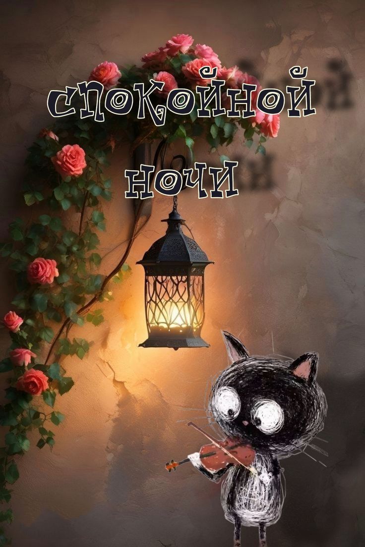 Открытка «Кот»: Спокойной ночи: милый кот и розы. Тэги: животное, пожелание, цветок, фонарь, настроение, нежная, милая…