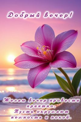 Открытка «Пожелание»: Добрый вечер! Нежная открытка с цветком и солнцем. Тэги: красивая, цветок, нежность, нежная…