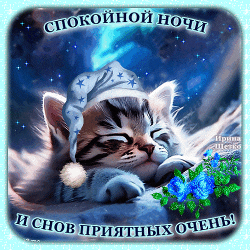 Открытка «Кот»: Спокойной ночи и снов приятных очень — милый кот. Тэги: животное, пожелание, улыбка, красивая, настро…
