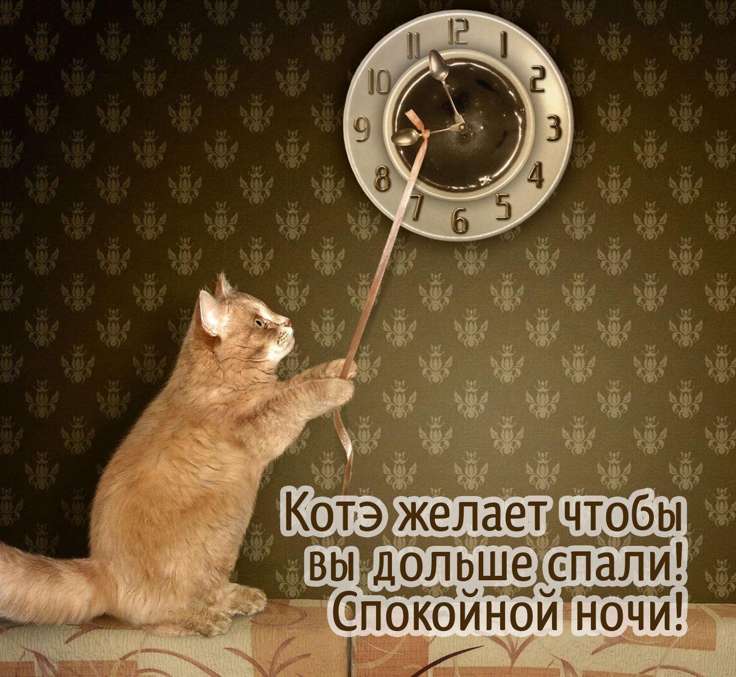 Открытка «Кот»: Спокойной ночи: Котэ желает дольше спать!. Тэги: животное, пожелание, юмор, прикольная, смешная…