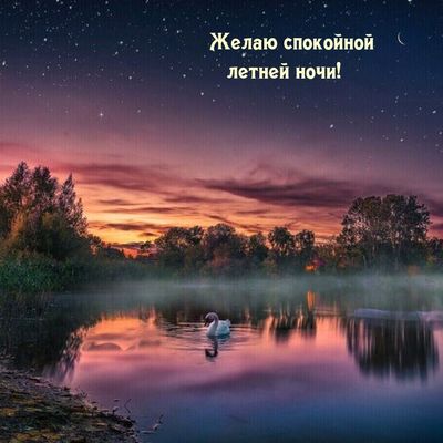 Открытка «Животное»: Спокойной летней ночи с лебедем на фоне заката. Тэги: пожелание, лето, дерево, природа, облако…